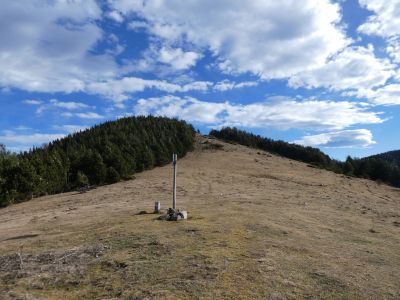 Collada Siern