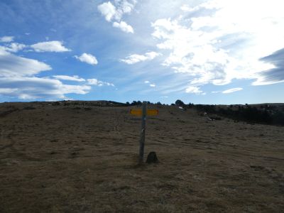Coll Pregon