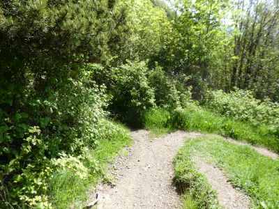 Croisement descente Antoni 2