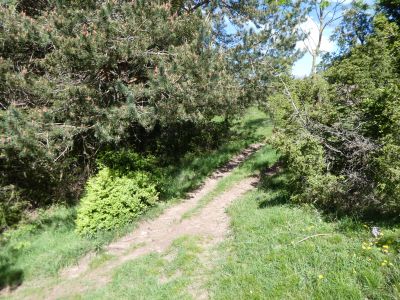 Croisement Mirador 2