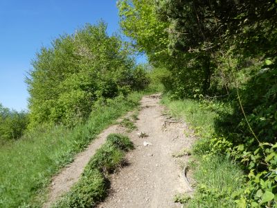 Croisement descente Antoni