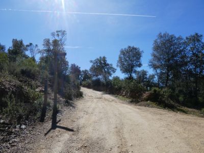 Croisement après Orri