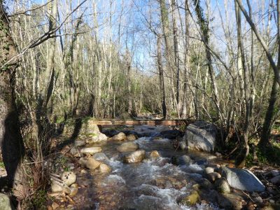 Vue Riera Riells