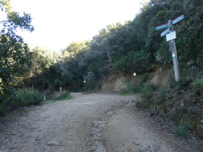 Croisement montée Montsoriu 2