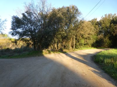 Croisement après Montnegre