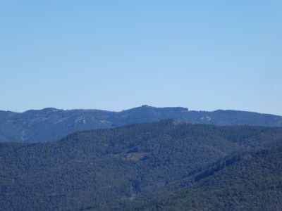 Vue Rodó