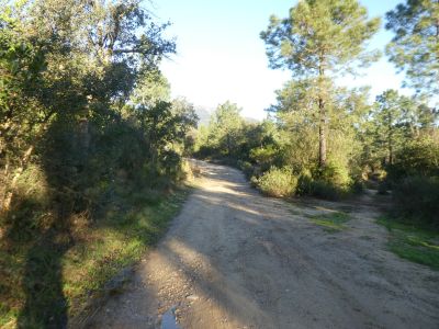 Croisement après Montnegre 3