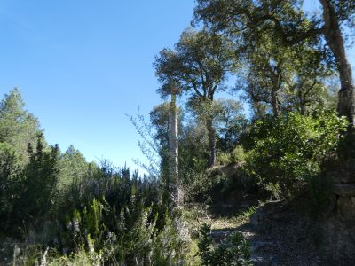Vue Creu Orri