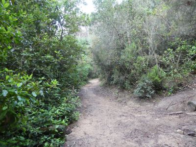 Croisement accès Gracia