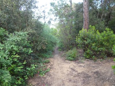 Croisement accès Gracia 4