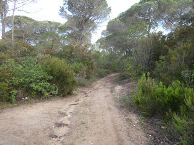 Croisement accès Gracia 6