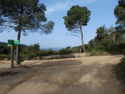 Croisement après Bosc