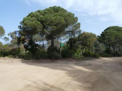 Croisement après Bosc 2