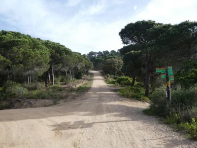 Croisement après Bosc 3