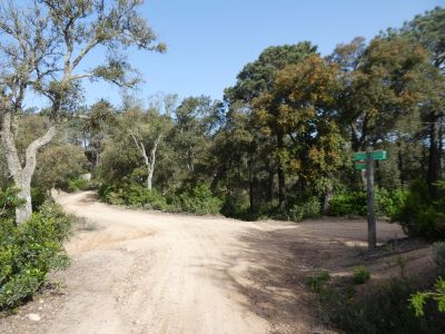 Croisement boucle sommet