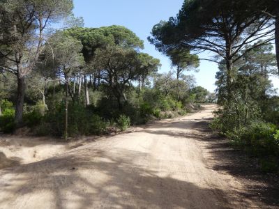 Croisement Turons boucle 1