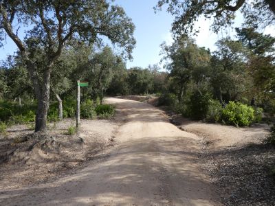 Croisement boucle sommet 1