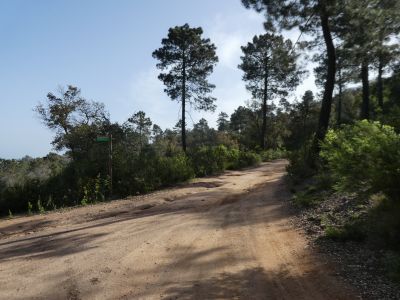 Croisement boucle sommet 2