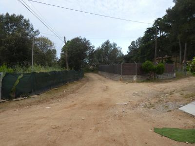 Croisement après Elena