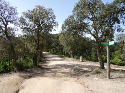 Croisement boucle sommet 1