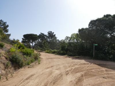 Croisement après Pi Gros