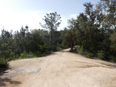 Croisement après Pi Gros 2