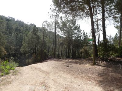 Croisement après Pi Gros 3