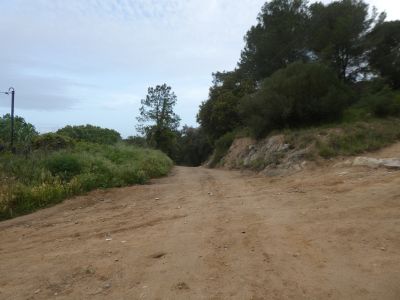 Croisement après Elena 2