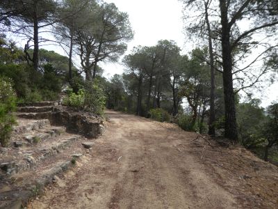 Croisement montée Angel