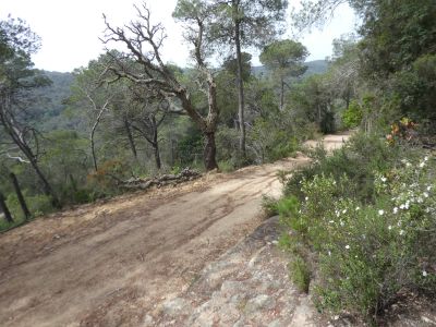 Croisement montée Angel 2