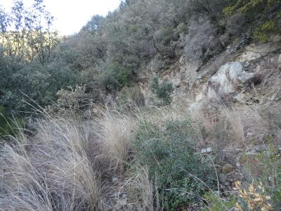 Croisement après fin Gorges 2