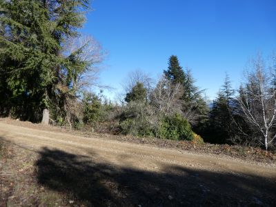 Croisement après Rovira