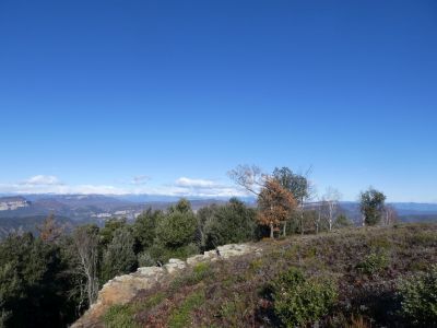 Vue Ripollès