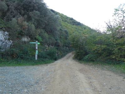 Croisement après Palomera