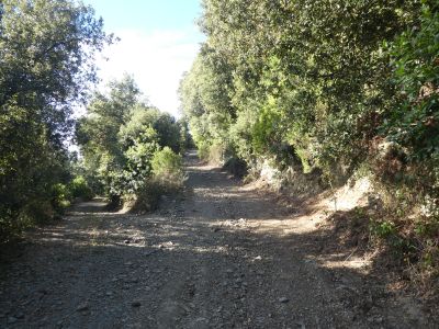 Croisement après Serra