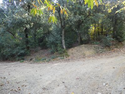 Croisement après Serra Turonell