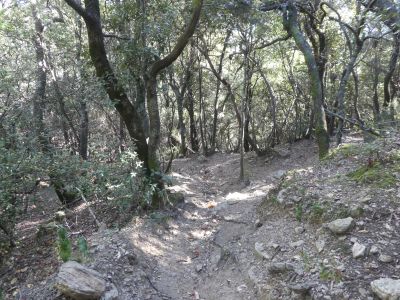 Vue descente Puigdefrou