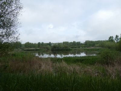 Vue Estany Sils 2