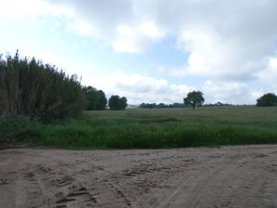 Croisement après Júria 2