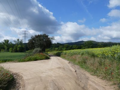 Croisement après Molí 2