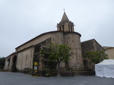 Vue Llorenç Maçanet
