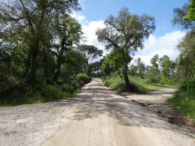 Croisement après Miquel