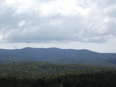 Vue Gall