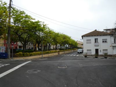Intersection Companys