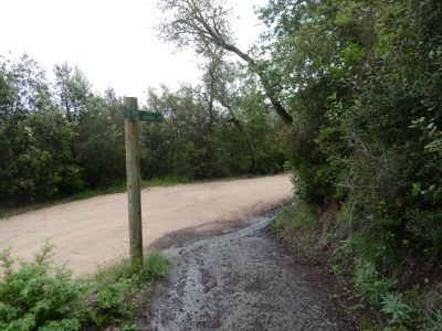 Croisement descente Puigmarí 2