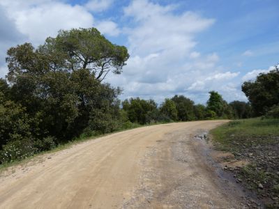 Croisement Xarabau