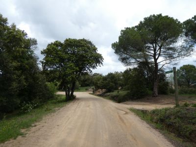 Croisement après Xarabau