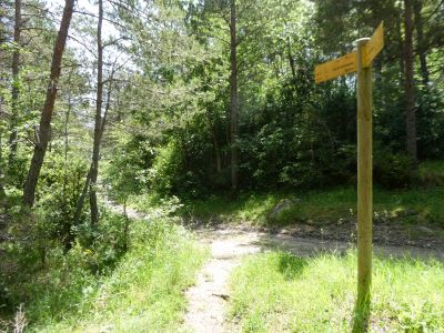 Croisement après Aso