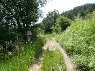 Croisement après Aso 2