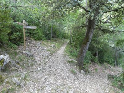 Croisement Espátula